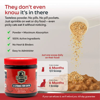 Cat L-Lysine Powder