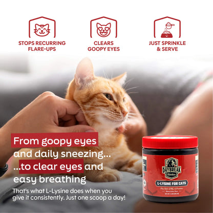 Cat L-Lysine Powder