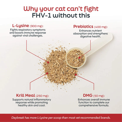Cat L-Lysine Powder
