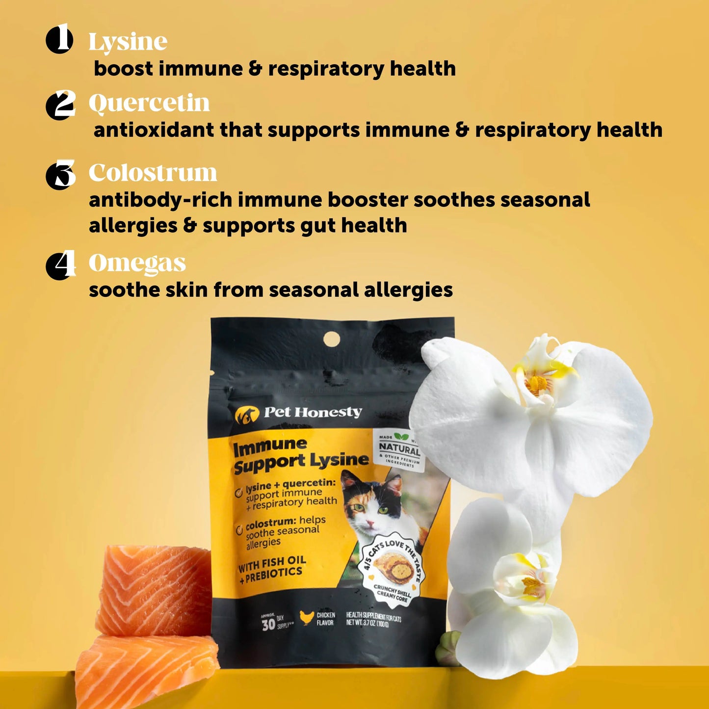 Stop the Flare-Ups Before They Start with Ferlura™ L-Lysine Chews