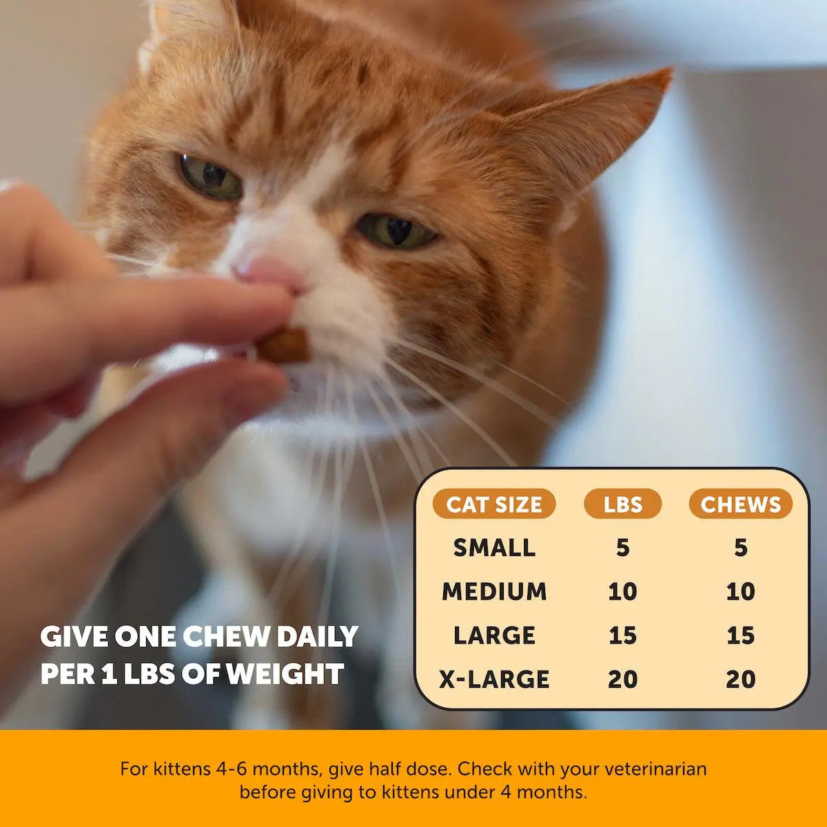 Stop the Flare-Ups Before They Start with Ferlura™ L-Lysine Chews